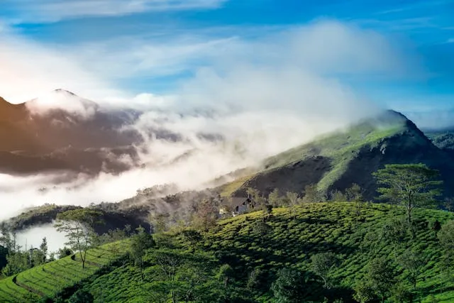Best Hill stations in India